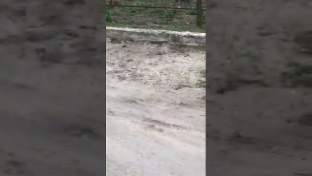 МОТОЦИКЛ Viper ZS150A ЗАВЁЛСЯ СПУСТЯ 5 ЛЕТ ПРОСТОЯ! ПЕРВЫЙ ВЫЕЗД! смотреть онлайн