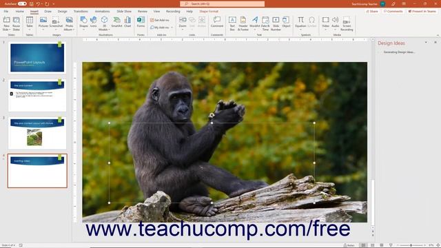 Learn How to Insert Videos in Microsoft PowerPoint 2019 & 365: A Training Tutorial смотреть онлайн
