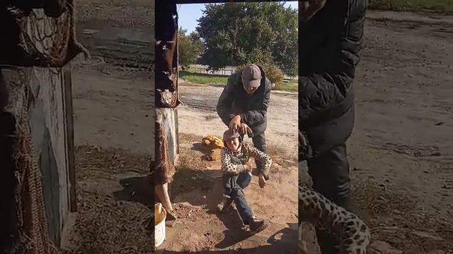 Бомжи рулят смотреть онлайн