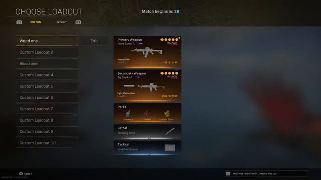 Zombie bulldozer bundle and overpowered emote in call of duty rebirth warzone смотреть онлайн