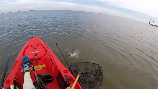 Use Procure Bait Scents to increase your chances of a bite! смотреть онлайн