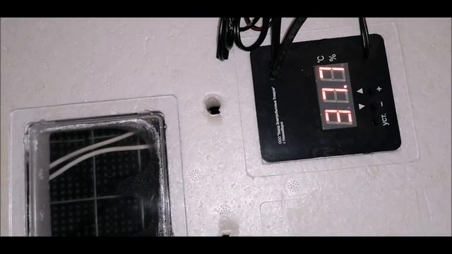 Подготовка инкубатора Несушка 36 яиц/Закладка яиц в инкубатор.Часть 1 смотреть онлайн