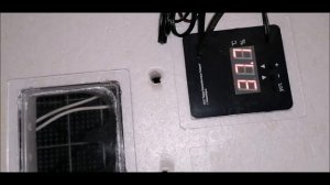 Подготовка инкубатора Несушка 36 яиц/Закладка яиц в инкубатор.Часть 1