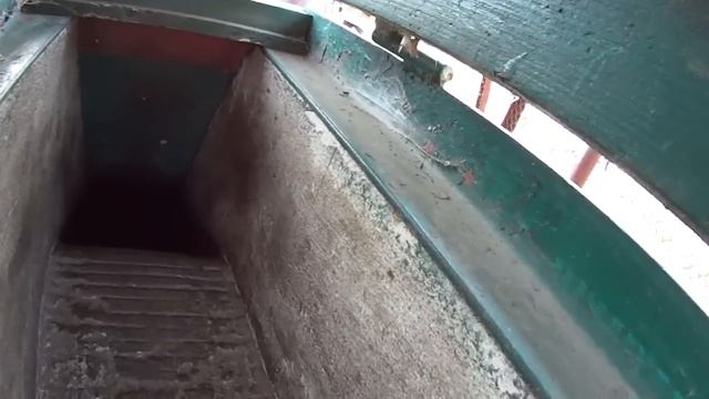 Притравка джек рассел терьер
