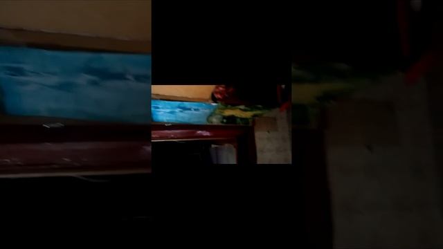 находки в заброшеном доме июнь 2017 год смотреть онлайн