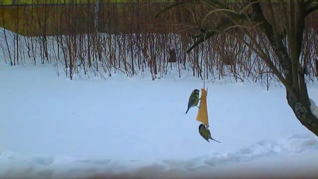2018. 02. 28. Мы с подружкою вдвоём сало весело клюём смотреть онлайн