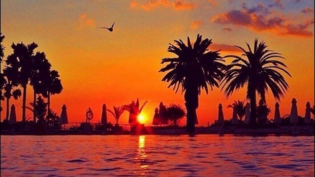 DeeJay Dan - Deep In My Soul 20 [2016] смотреть онлайн