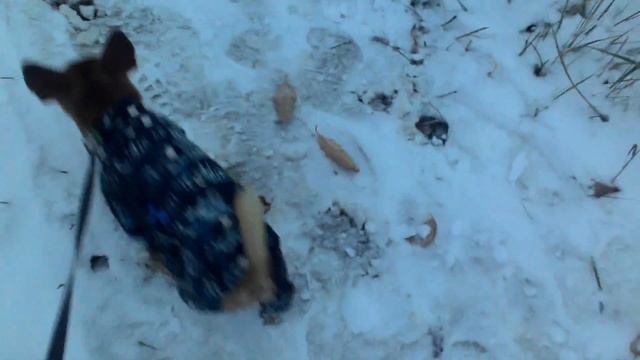 Первый снег, новая рулетка!!! смотреть онлайн