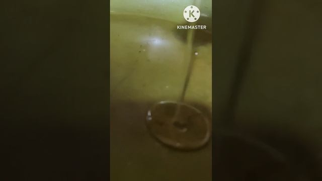 Пирожки с картошкой на воде из вареного картофеля.. для тех, кто держит пост.. без добавления яиц смотреть онлайн