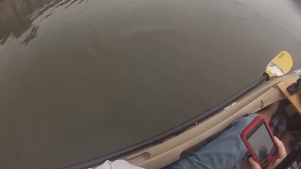 Monster Ohio River catfish caught on kayak