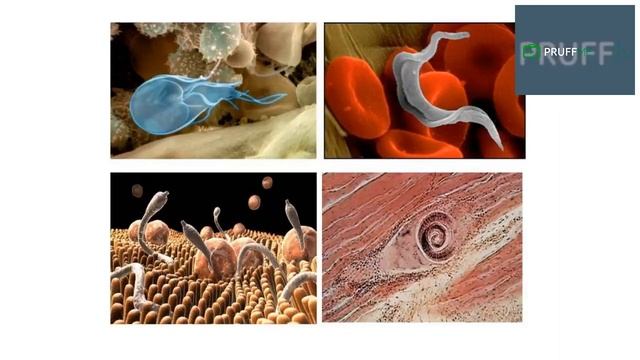 Открытая конференция врача-диетолога Ольги Базылевой "Весеннее обновление!" смотреть онлайн