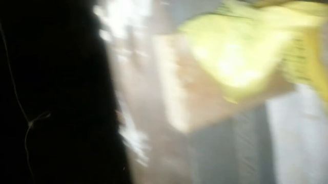 Несутся ли куры зимой? смотреть онлайн