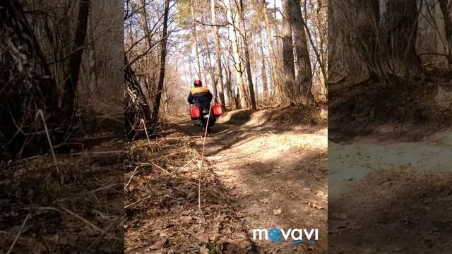 Весенние покатушки в лес за берёзовым соком на Irbis Irokez Sport