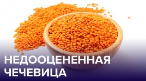 Чем полезна ЧЕЧЕВИЦА? Почему её важно есть тем, кто постоянно сидит в гаджетах? | Доктор24