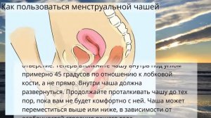 Как пользоваться менструальной чашей