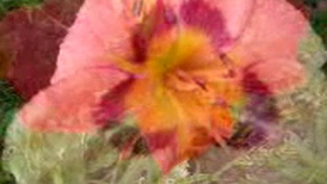 ЦВЕТЫ В ИЮНЕ!!! РОЗЫ, ДЕЛЬФИНИУМ, ЛИЛЕЙНИК, ЛИЛИИ, ПЕТУНИИ, СУРФИНИИ.... FLOWERS IN JUNE Roses... смотреть онлайн