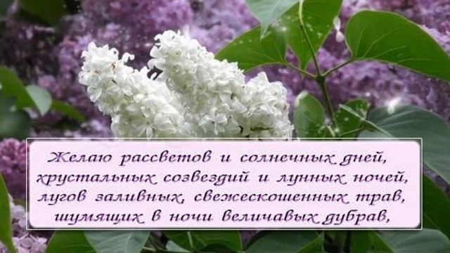 Очень красивое Пожелание Счастья! смотреть онлайн