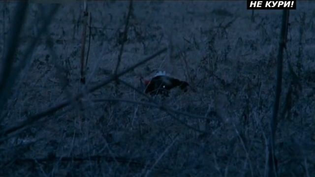 Охота на тетерева на току. Охота на тетерева весной - 2021г смотреть онлайн