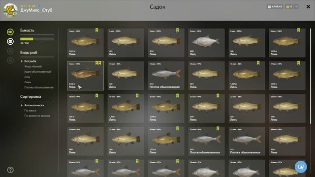 Рыболовы на Природе