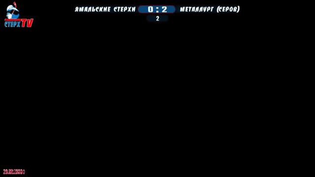 29.02.2020 "Ямальские стерхи" г. Ноябрьск 3 : 2 "Металлург" г. Серов смотреть онлайн