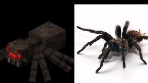 Как выглядят мобы из майнкрафта в реальной жизни.