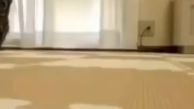 Я ночью иду к холодильнику смотреть онлайн