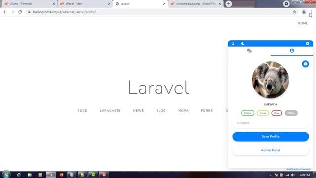 ADD CHAT WIDGET LARAVEL IN WEBSITE смотреть онлайн