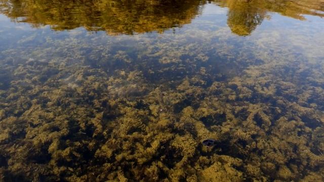 Осенняя рыбалка на щуку с лодки смотреть онлайн