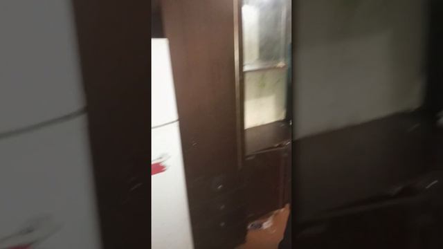 Сдали квартиру. Теперь писать надо не только без животных! Ещё и без детей. смотреть онлайн
