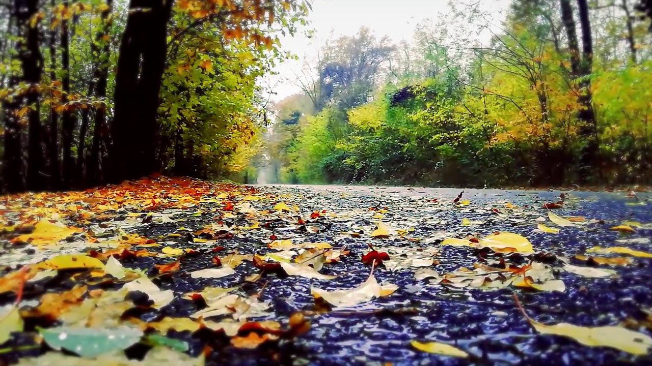 Музыка Для Души Танец Дождя Музыка Осени. Кирилл Богомилов (гусли) смотреть онлайн