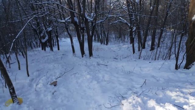 VLOG. Как мы провели 14 февраля смотреть онлайн