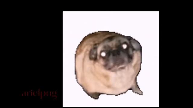 salami salami gulp gulp gulp gulp 1hour смотреть онлайн