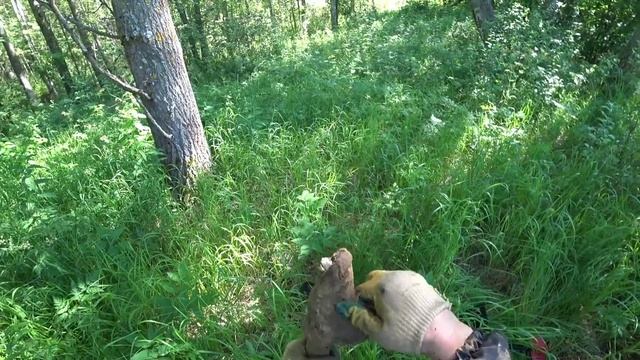 ПО ЭТОЙ ЛЕСНОЙ ДОРОГЕ ВСЕ ПРОЕЗЖАЛИ МИМО И НЕ ЗНАЛИ КАКОЙ МЕТАЛЛ ТАМ ЖДЁТ. КОП МЕТАЛЛА 2022 смотреть онлайн