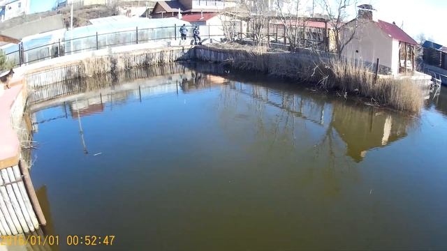 ловля крупной красноперки и карася ранней весной на поплавок. смотреть онлайн
