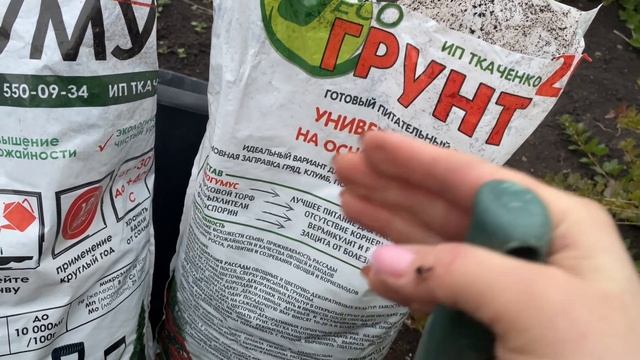 ГОТОВЛЮ ПРАВИЛЬНЫЙ ГРУНТ ДЛЯ РАССАДЫ С ОСЕНИ! смотреть онлайн