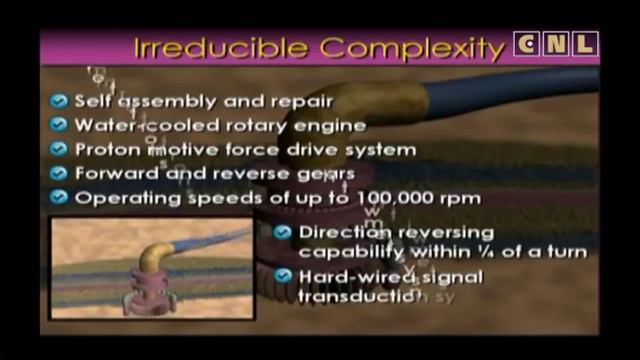 Разумный замысел. Основы сотворения. Часть 6