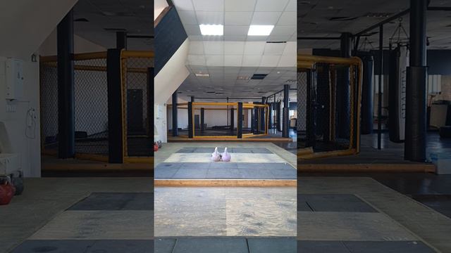 Тренировка 20.07.2021 ДЦ 20 кг. 0.30/1 минута × 10 кругов смотреть онлайн
