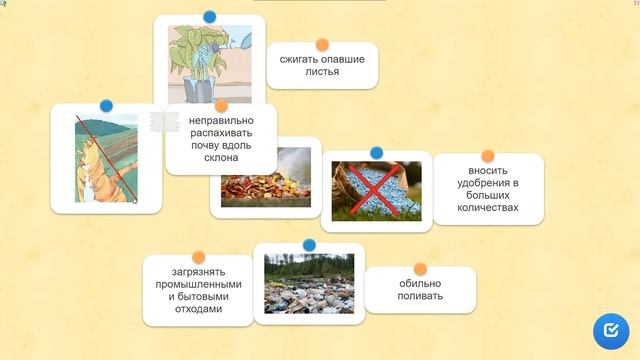 №5. Почва