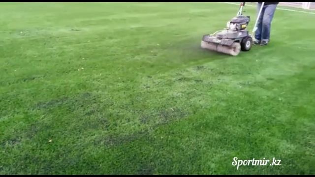 Искусственный газон, искусственная трава смотреть онлайн