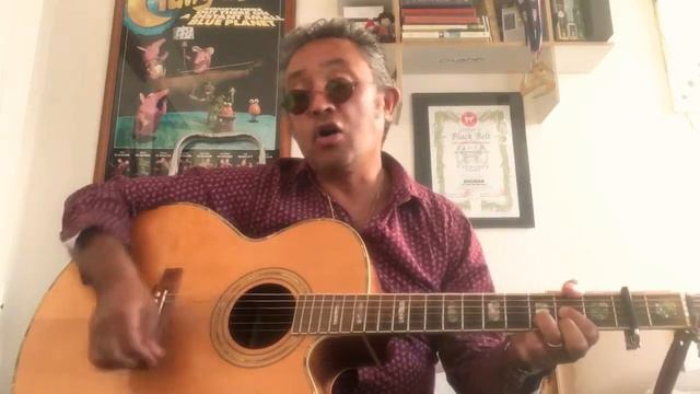 Hollow Horse - Icicle Works (acoustic cover) смотреть онлайн