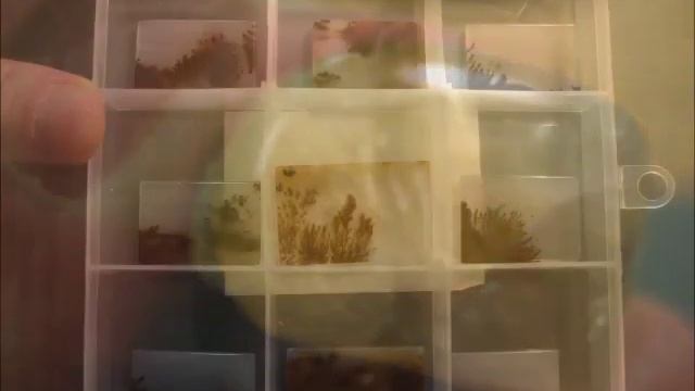 Кабошоны и галтовка. Полированный агат и кварц. смотреть онлайн