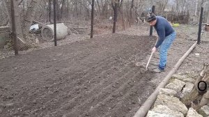 ВРЕМЯ СЕЯТЬ ЛЮЦЕРНУ