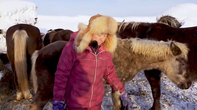 Как мы пережили 2021-й год. Развитие усадьбы, жеребята перед отъемом, планы. смотреть онлайн