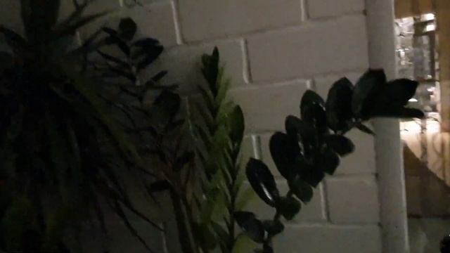 VLOG 18.09.21г Очень холодно/ Погода ужасная/ Гороховый суп/ Цветы на балконе/ Скучаю, всех помню