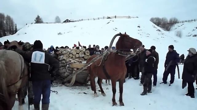 Конно - Спортивные соревнования смотреть онлайн