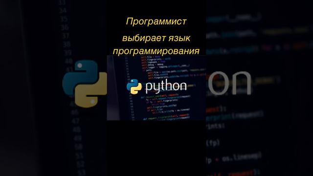 Программист выбирает язык программирования ?#программирование #обезьяна #мем #chatgpt #python смотреть онлайн