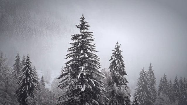 Какие сюрпризы нам готовит 2021 год Быка / Прогноз на Новый 2021 год смотреть онлайн