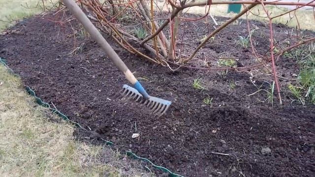 БОРДЮРНАЯ ЛЕНТА. смотреть онлайн