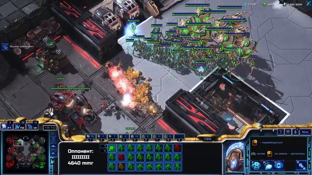 СЛОЖНЕЙШАЯ ИГРА ПРОТИВ ТЕРРАНА | НОВЫЙ СЕЗОН ! | Дорога в гмл #14 | Алмазная лига | StarCraft 2 Lot смотреть онлайн