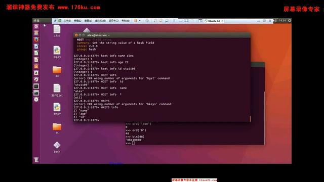 82 06 python s2 fullstack redis hash操作 смотреть онлайн